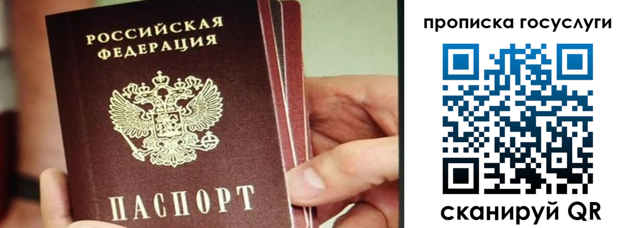 пропишу в квартире в Псковской области